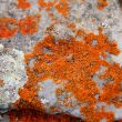 Image of colorful texture
