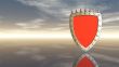 shield with prickles