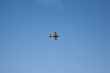 flying plane in the sky