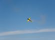 flying plane in the sky