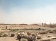 Ruins of ancient Palmyra
