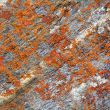 Image of colorful texture