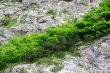 Image of mountain wall