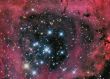 NGC2244 Rosette nebula