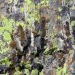 Image of colorful texture