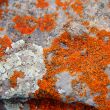 Image of colorful texture