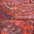 Image of colorful brick