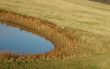 The pool in the grass