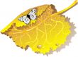 Autumn leaves and butterfly