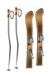 skis and ski poles