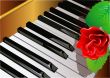 piano and rose
