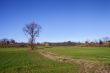 Field