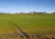 Field