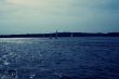 Sail boats
