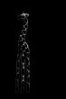 The wooden giraffe