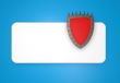 shield with prickles