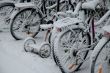 Bicycles in snow