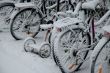 Bicycles in snow