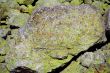 Image of colorful texture