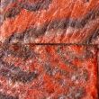Image of colorful texture