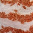 Image of colorful texture