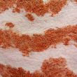 Image of colorful texture