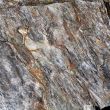 Image of colorful texture