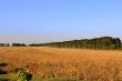 Hay, field and blu sky