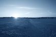 Blue snowed in landscape