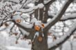 Snow on leaf