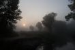 Foggy morning 3