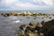 seascape