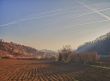 Field