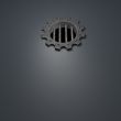 gear wheel prison window