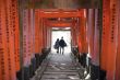 Torii Gate Tunnel