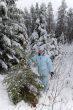 girl snow fir spruce