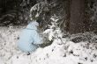 girl snow fir spruce