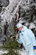 girl snow fir spruce