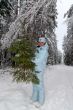 girl snow fir spruce