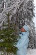 girl snow fir spruce