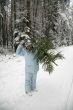 girl snow fir spruce