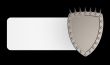 shield with prickles