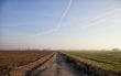 Road in the fields