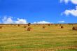 Hay, field and blu sky
