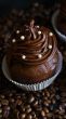 Chocolate cupcake