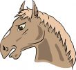 horse`s head