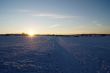 Snowed in landscape