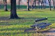 Bench in park