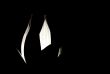 Tulip lamp