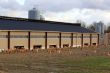 chicken farm